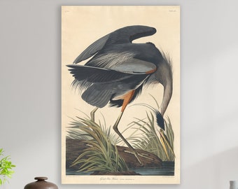 May include: A vintage illustration of a Great Blue Heron, a large wading bird with blue-gray plumage, standing in a marsh with green reeds. The bird is depicted in a hunting pose, with its head bent down and its beak pointed towards the water. The illustration is framed and displayed on a wall in a modern living room setting.