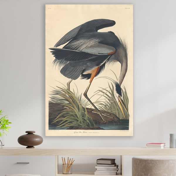 Great Blue Heron Wall Art, John James Audubon Art, Huge Canvas Home Decor, Great Blue Heron  Canvas, Audubon Wall Art, Blue Heron by Audubon