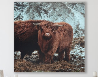 Highland Cow, Huge Canvas Home Decor, Highland Cattle Canvas, Highland Cow Wall Art, Nature, Animals,