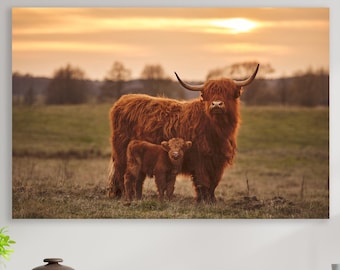 Highland Cow Wall Art,  Huge Canvas Home Decor, Farm Canvas, Highland Cow Wall Decor, Farm Art, Highland Cow