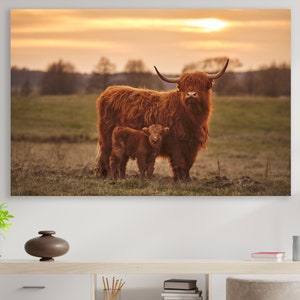 Highland Cow Wall Art,  Huge Canvas Home Decor, Farm Canvas, Highland Cow Wall Decor, Farm Art, Highland Cow