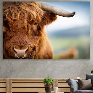 Highland Cattle Wall Art,  Huge Canvas Home Decor, Farm Canvas, Highland Cow Wall Decor, Farm Art, Highland Cow