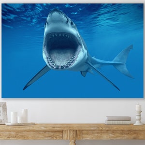 Shark Canvas, Huge Canvas Home Decor, Shark Wall Art, Wildlife Art, Canvas Art, Shark Art