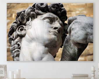 David Statue Canvas, Statue Wall Art, Huge Canvas Wall Decor, Michelangelo, Modern Art, David Statue