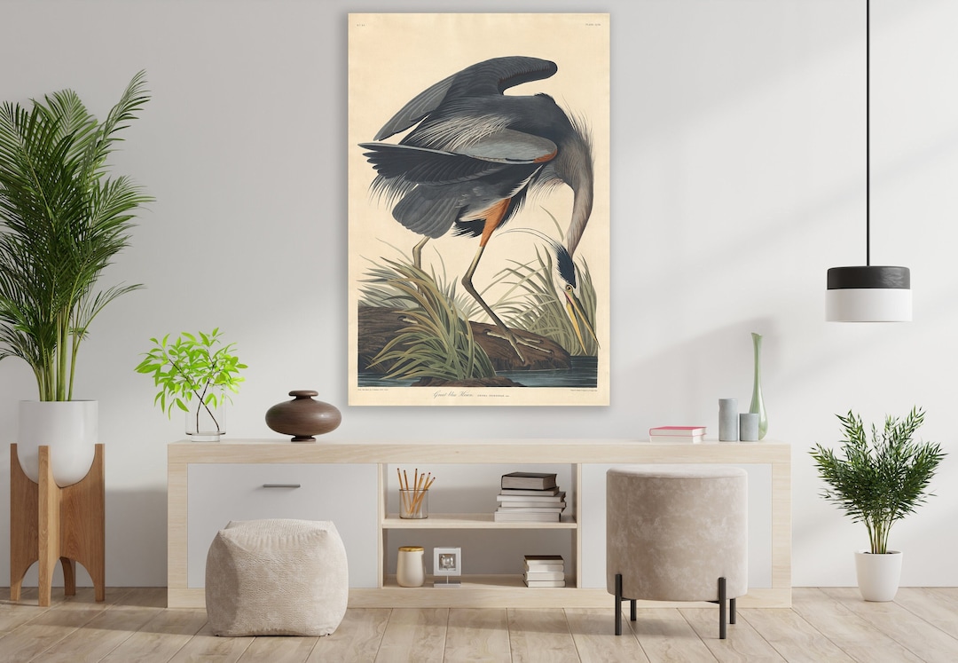 Great Blue Heron Wall Art, John James Audubon Art, Huge Canvas Home