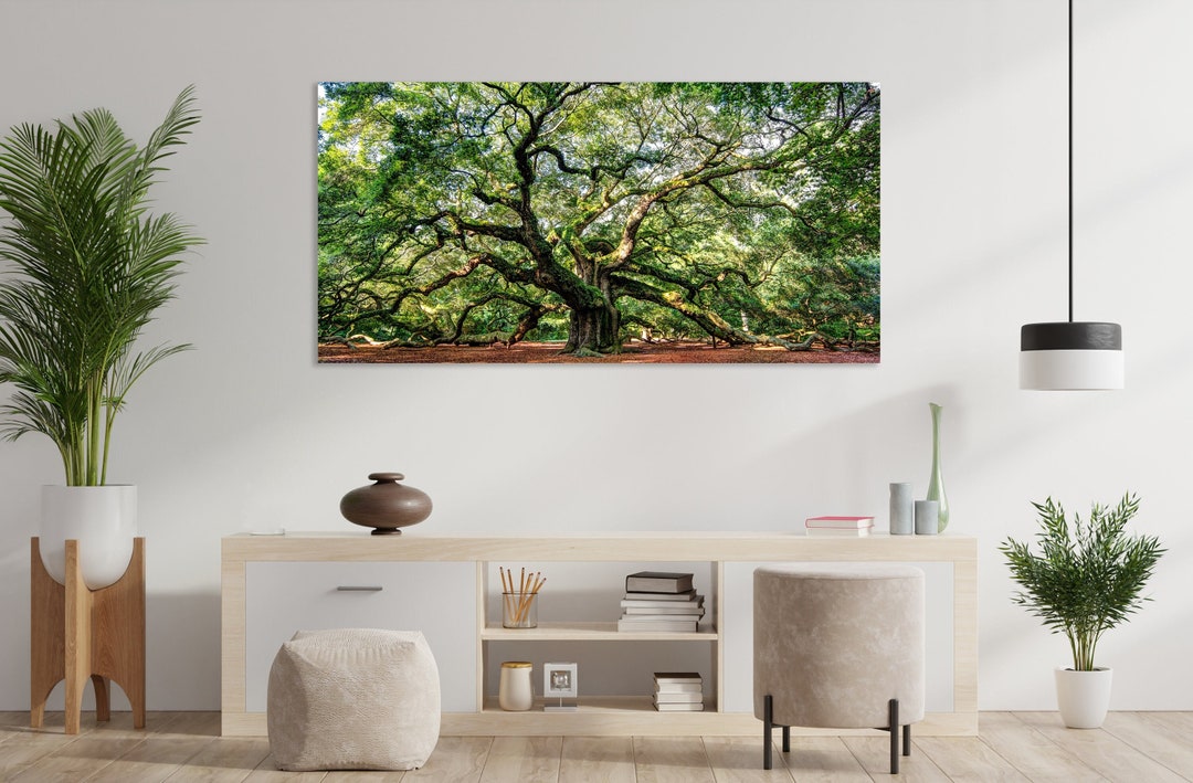 Angel Oak Tree Canvas Print, Oak Tree Art, Huge Canvas Wall Art, Angel