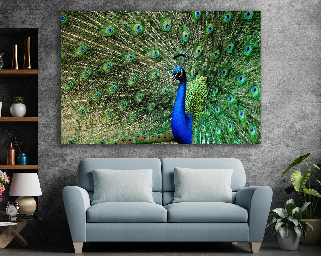 Peacock, Huge Canvas Wall Decor, Feather Art, Peacock Tail Art, Peacock ...