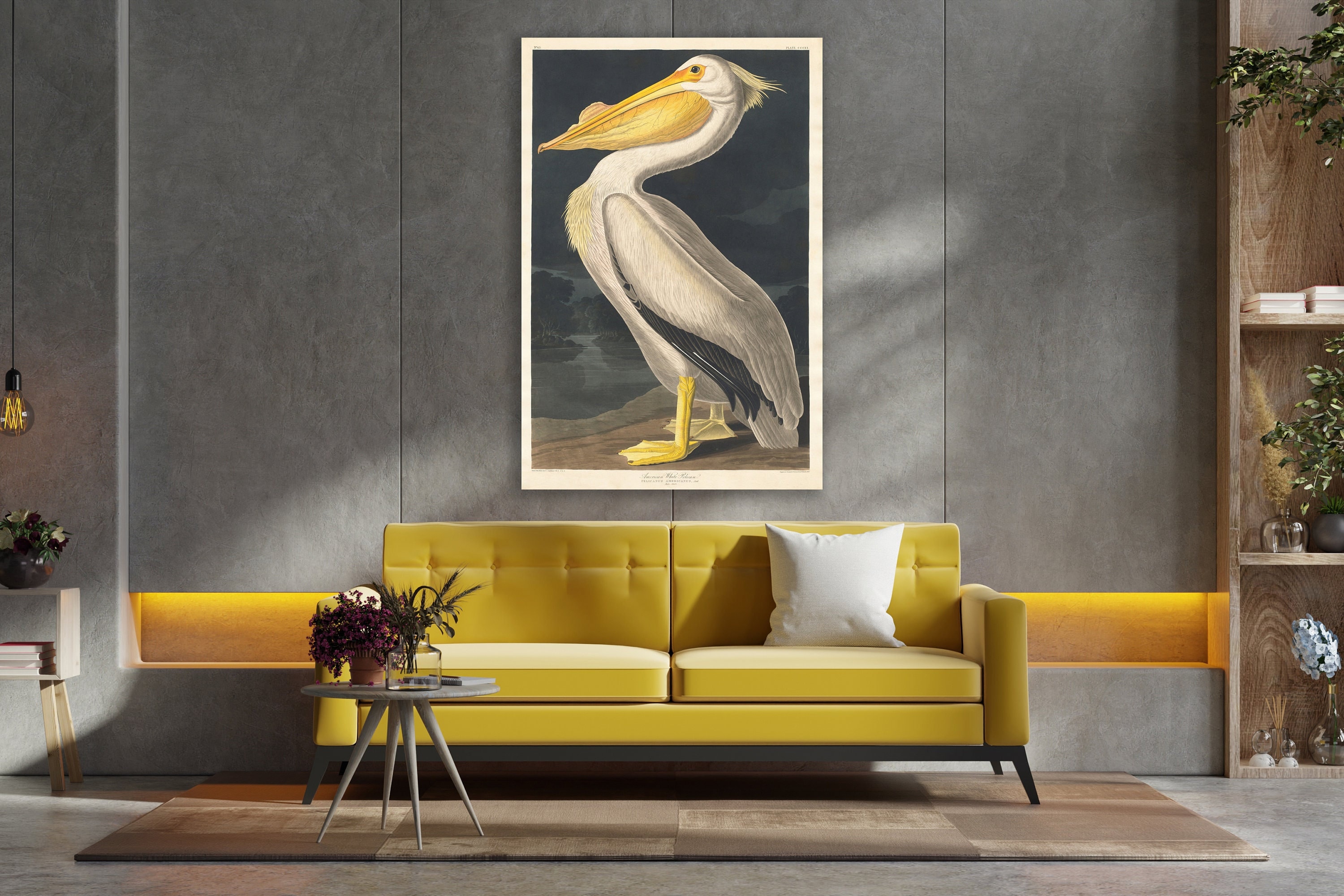 White Pelican Wall Art, John James Audubon Art, Huge Canvas Home Decor ...