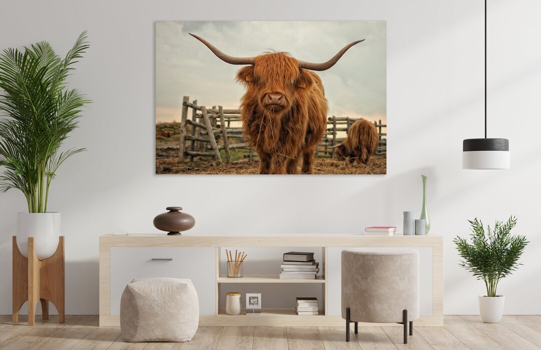 Highland Cow Wall Art, Huge Canvas Home Decor, Farm Canvas, Highland Cattle Wall Decor, Highland