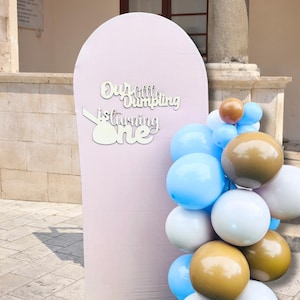 Our Little Dumpling Sign One Year Old Boy Birthday Dumpling Wall Art Dumpling Welcome Signage Dim Sum Round Wood Sign Kawaii Birthday