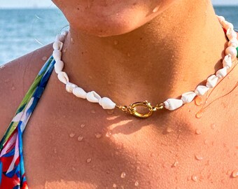 Shell Choker Necklace