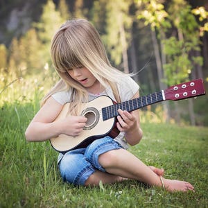Può includere: Un ukulele in legno di colore chiaro con una tastiera scura e una paletta marrone rossiccio. Lo strumento presenta una buca circolare con un motivo a rosetta decorativo e sei piroli per l'accordatura sulla paletta.