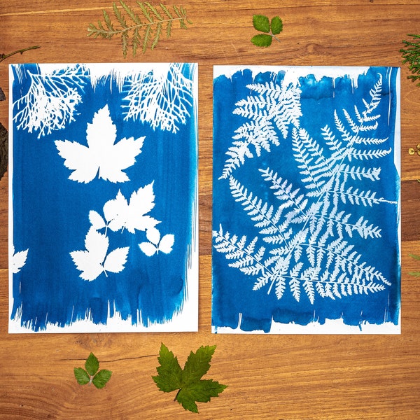 DIY Set Cyanotypie Papier Eisenblaudruck Fotopapier