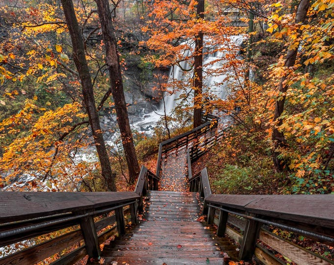 Brandywine Falls - Cuyahoga Valley National Park | Foliage Wall Decor | Midwest Landscape | Landscape Prints| Americana | Foggy Waterfall