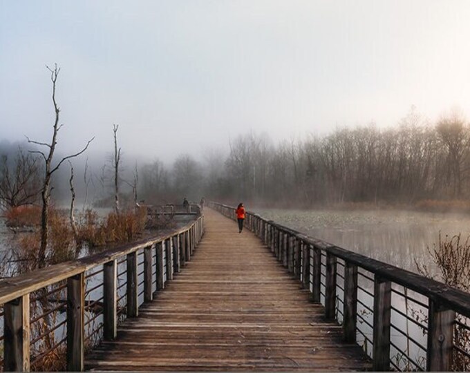 Beaver Marsh - Cuyahoga Valley National Park  | Nature Photography | Wall Art | Foggy Trail | Fine Art Prints (horizontal orientation)