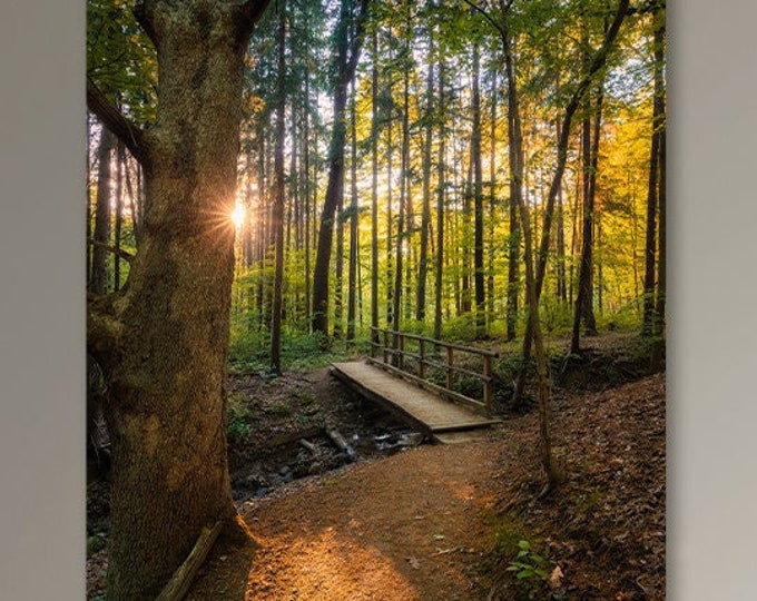 Furnace Run Trail - Cuyahoga Valley National Park, Ohio | Landscape Photography | Akron | Cleveland | Hiking Wall Art | Forest Wall Decor