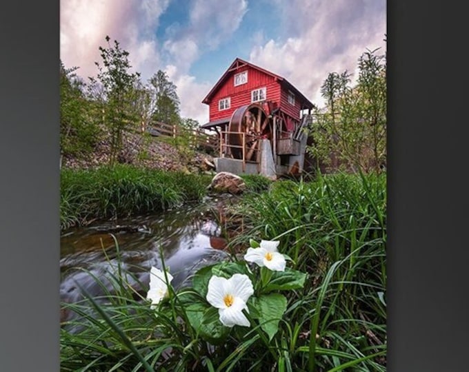 Kirby's Mill - Richfield, Ohio | Flower Wall Art | Ohio Art | Ohio Prints | Ohio Landscape | Mothers Day | Gift for Mom | Gift For Her | OH