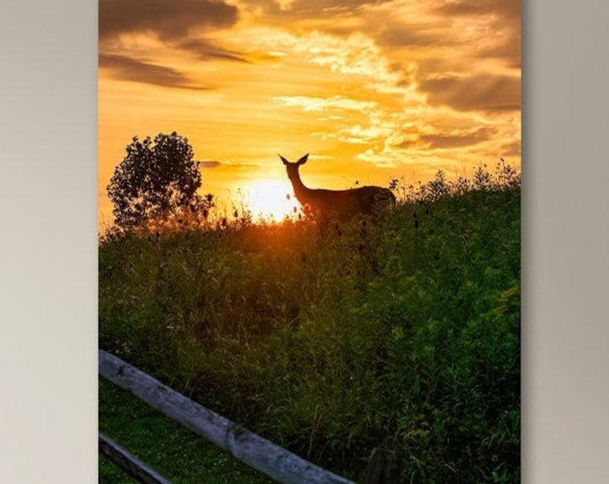 Summer in Ohio- Bath Township, OH (Fine Art Print)