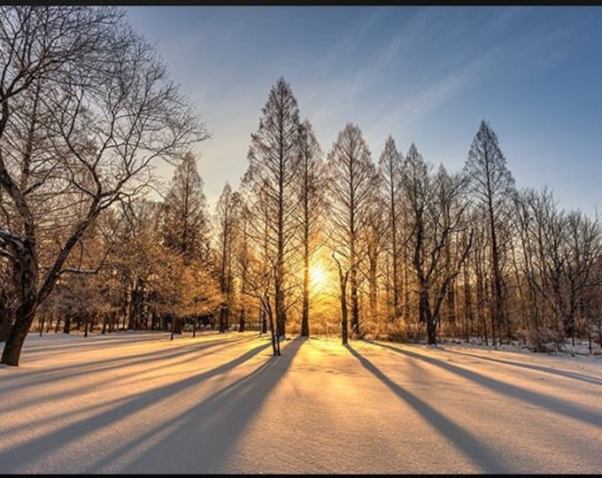 Winter Sunrise - Brecksville Reservation, OH | Winter Landscape | Winter Silhouette | Cleveland Metroparks | Ohio Winter | Ohio Parks | Gift
