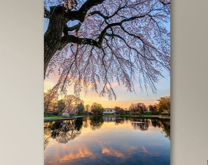 A Wade Lagoon Sunset - Cleveland, Ohio | Cleveland Museum of Art | Spring Wall Art | Spring in Cleveland | University Circle | Sunset Art
