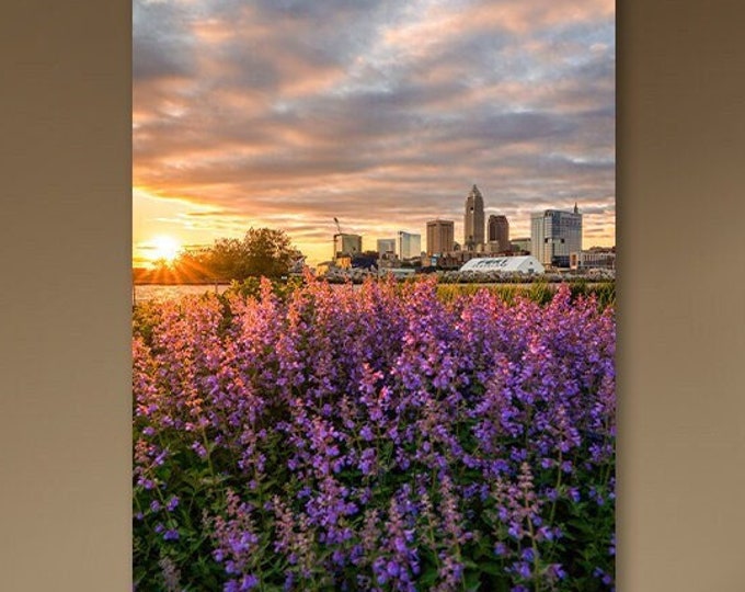 Sunkissed - Cleveland, Ohio | Cleveland Skyline | Downtown Cleveland | Gift for Mom | Gift for Her | Flower Prints | The Land Photo Prints
