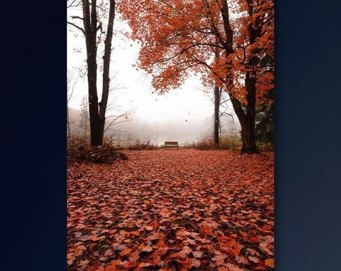 Autumn Frame of Mind - Richfield, OH | Summit County | Foggy Wall Decor | Foggy Forest Art | Dreamy Landscape | Fallen Leaves | Ohio Nature