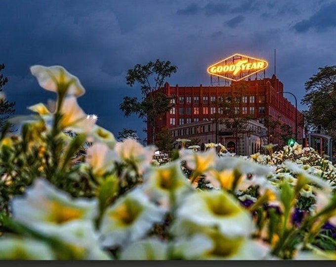 Goodyear Hall - Akron, Ohio | Architecture Photography | Flowers | Nightscape | Citiscape | Historic Landmark | History | Gift for Him | Art