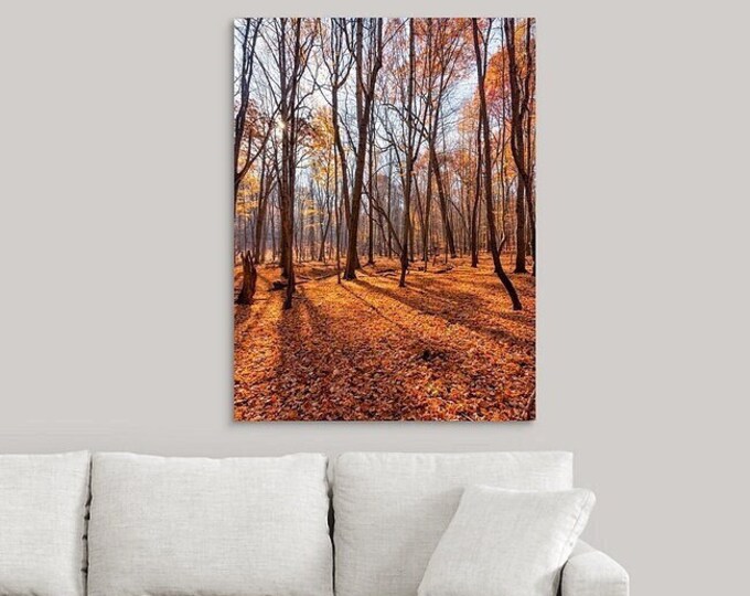From Green to Gold - Parma, Ohio | Autumn Wall Art | Ohio Landscape | Foliage Photo | Cleveland Metropark | Fall Canvas Print | Gift for Her