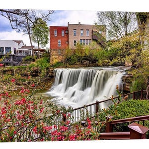 Spring in Chagrin Falls, OH | Waterfall Art | Waterfall Photo | Gift for Mom | Gift for Her | Spring Decor | Bachelorette Apartment | Flower