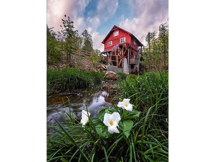 Kirby's Mill - Richfield, Ohio | Flower Wall Art | Ohio Art | Ohio Prints | Ohio Landscape | Mothers Day | Gift for Mom | Gift For Her | OH