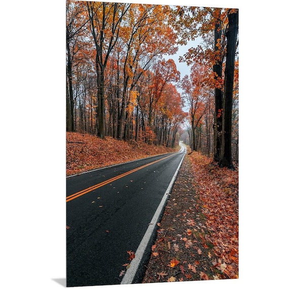Rainy Autumn Drive - Hinckley, Ohio