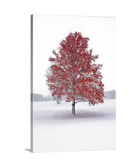 First Snow Canvas - Ready to Hang | Cuyahoga Valley National Park | Ohio | Ohio State | Buckeyes | Winter Wall Decor | Winter Canvas