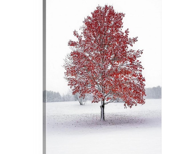 First Snow Canvas - Ready to Hang | Cuyahoga Valley National Park | Ohio | Ohio State | Buckeyes | Winter Wall Decor | Winter Canvas