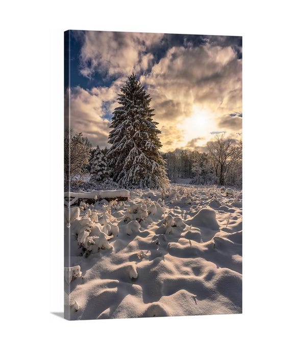 Winter Wonderland Canvas - Ready to Hang | Cuyahoga Valley National Park | NPS | Ohio | Winter Photography | Winter Landscape | Winter Decor