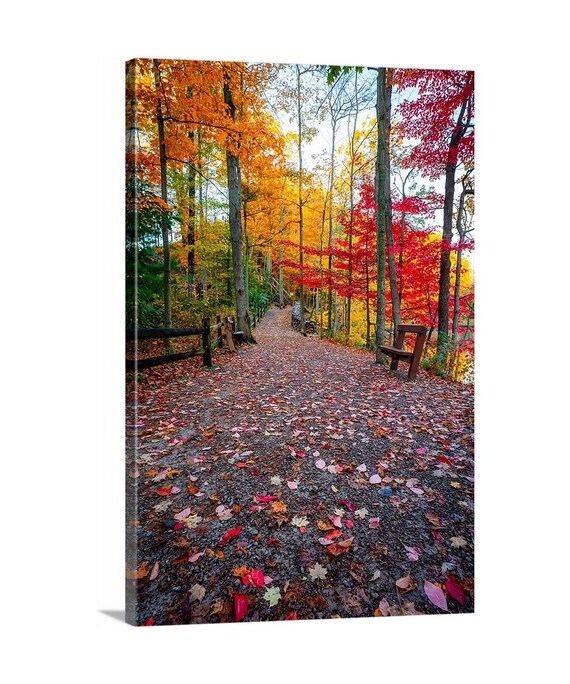 Autumn in Rocky River Canvas (Ready to Hang)