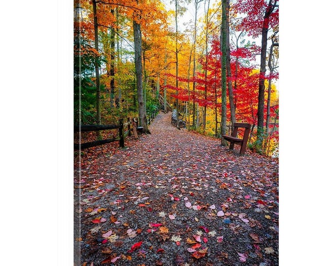 Autumn in Rocky River Canvas (Ready to Hang) | Cleveland, Ohio | Cleveland Metroparks | Autumn Colors | Autumn Art