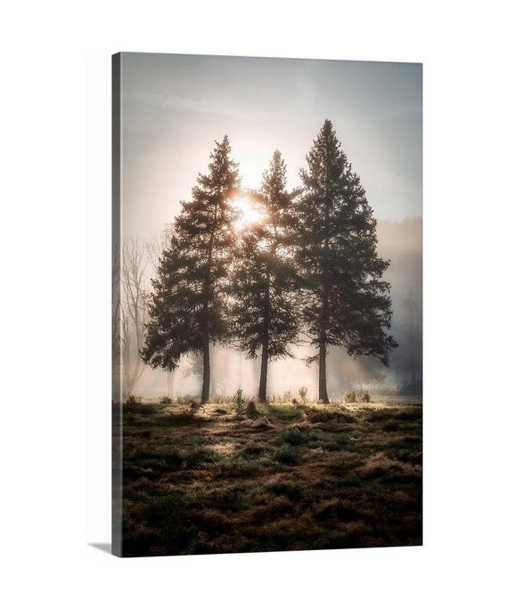 First Light Canvas (Ready to Hang) - Cuyahoga Valley National Park, Ohio