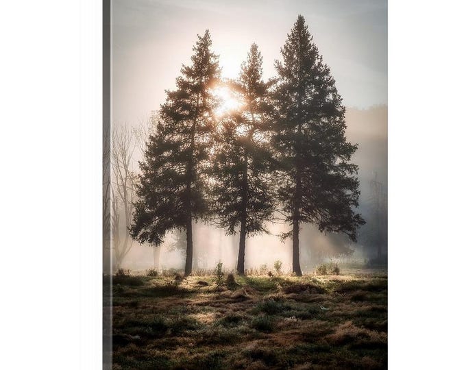 First Light Canvas (Ready to Hang) |  Cuyahoga Valley National Park | Cleveland | Ohio