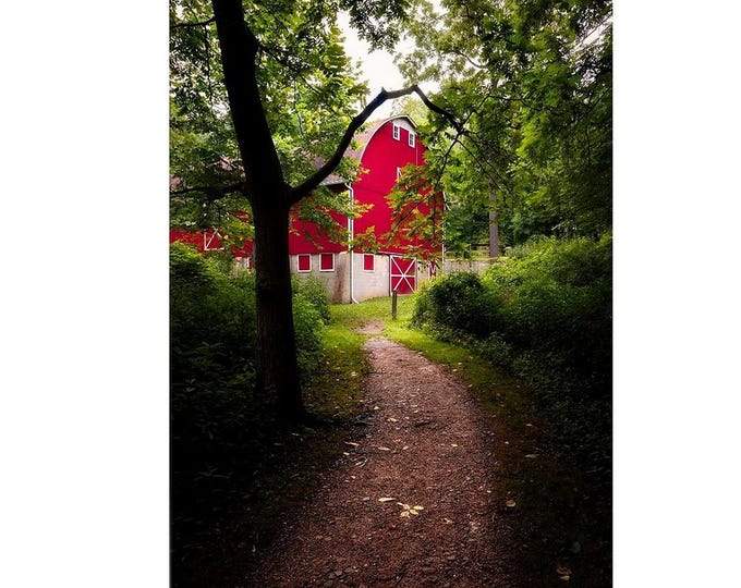 Barn in the woods - O'Neil Woods Metro Park (Fine Art Print)