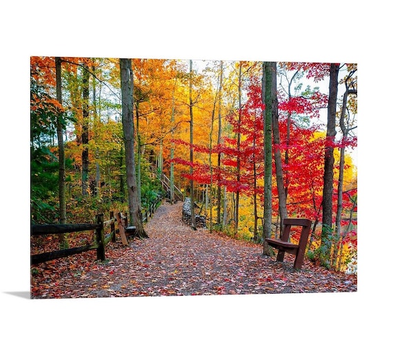 Autumn in Rocky River (Horizontal) | Ohio | Cleveland Metroparks | Ohio Art | Cleveland Art | Cleveland Wall decor | Cleveland Photo | Fall