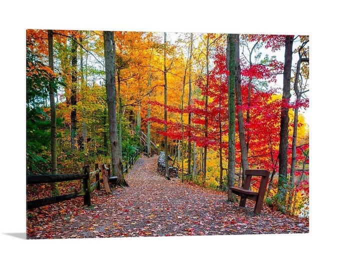 Autumn in Rocky River (Horizontal) | Ohio | Cleveland Metroparks | Ohio Art | Cleveland Art | Cleveland Wall decor | Cleveland Photo | Fall