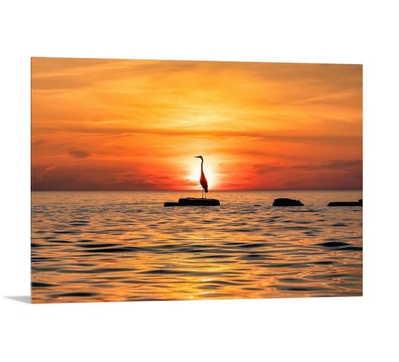 Great Blue Heron - Rocky River, Ohio