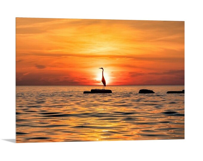Great Blue Heron - Rocky River, Ohio | Fine Art Photography | Nature Photography | Wall Decor (Horizontal Orientation)
