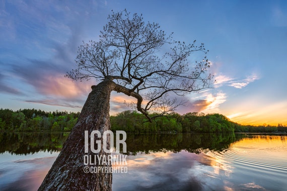 Reaching out - Hinckley, OH