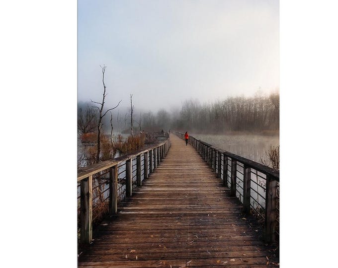 Foggy morning - Cuyahoga Valley National Park
