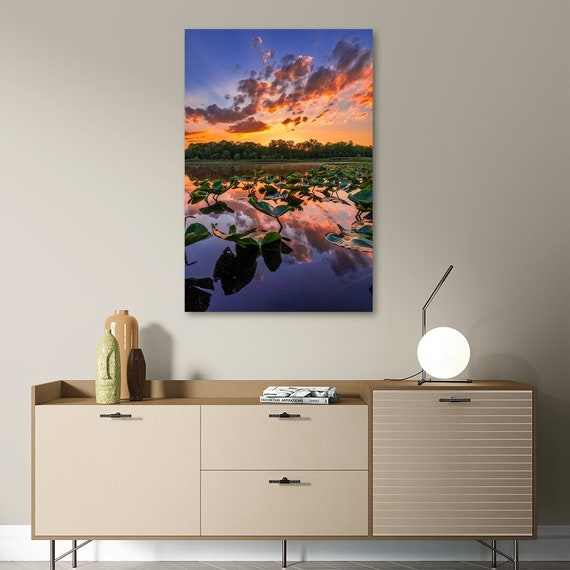 Lily Pads - Bath, Ohio