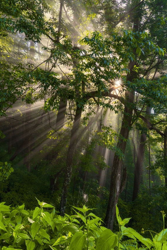 Shining Through - Blue Ridge Mountains (Fine Art Print)