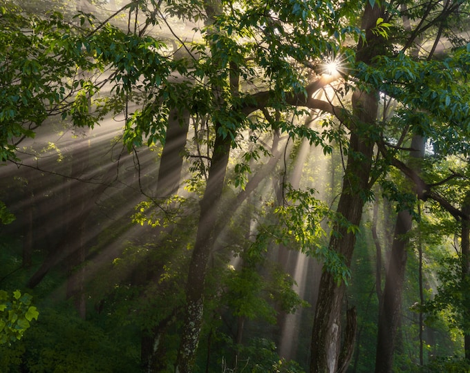 Shining Through - Blue Ridge Mountains (Fine Art Print)