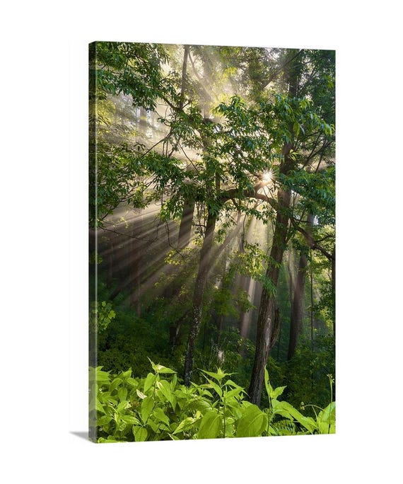 Shining Through (Ready to Hang Canvas)