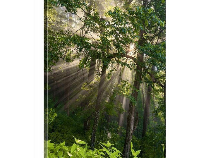 Shining Through (Ready to Hang Canvas) | Blue Ridge Mountains | Landscape Prints | National Park Wall Art | Appalachia | Sun Art | Sun Decor